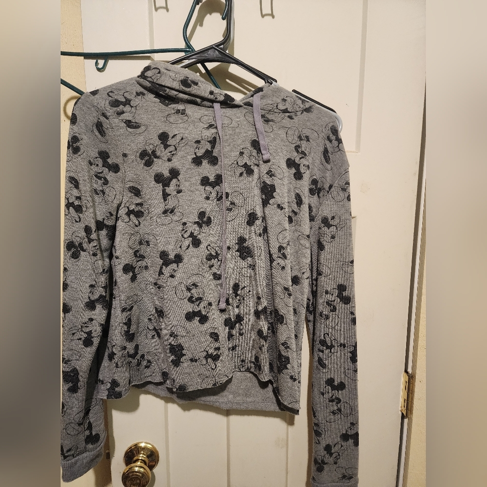 Disney pull over